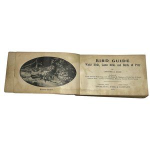 Vintage Antique 1921 Bird Guide Book Water Game and Birds of Prey Chester Reed